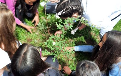 Пројектни дан еко – школе ОШ „Димитрије Туцовић“ Краљево