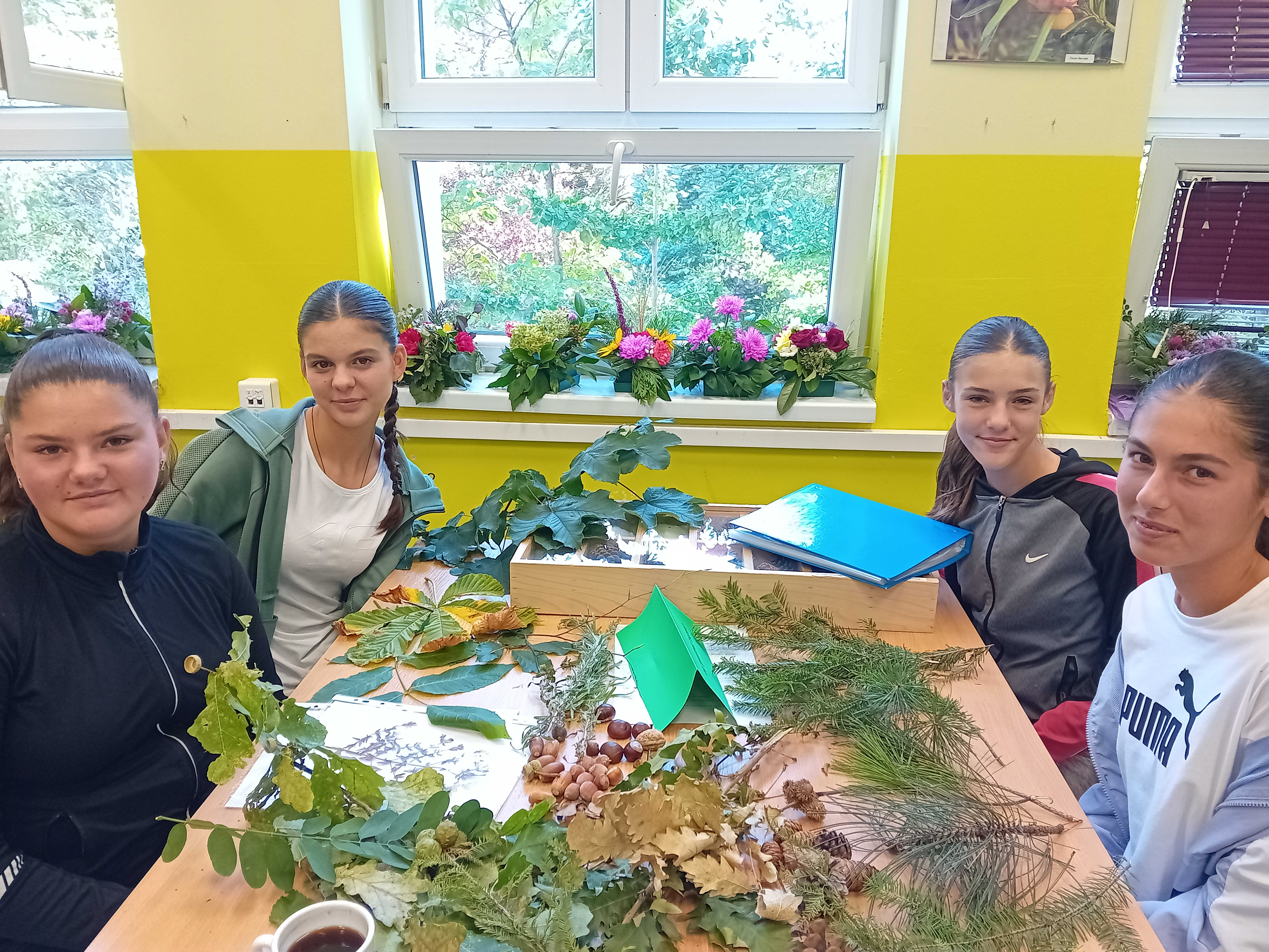 Шумска педагогија – учимо о шумама