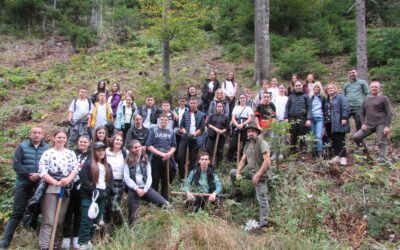 Шумска педагогија на Гочу