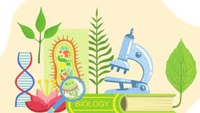 Успеси ученика на Општинском такмичењу из биологије